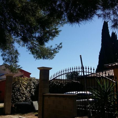 Chambres De La Terre Blanche Sanary-sur-Mer Værelse billede