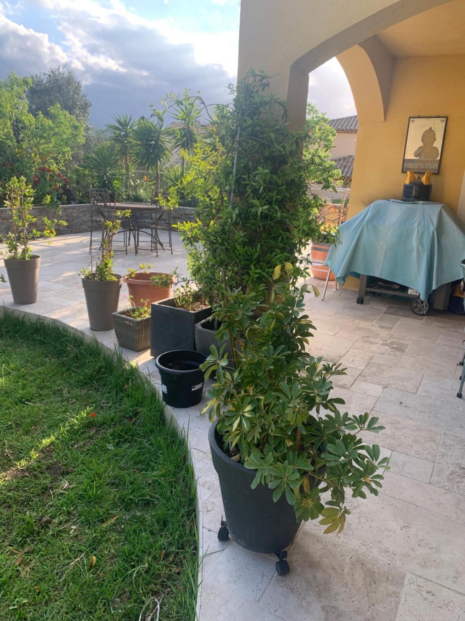 Chambres De La Terre Blanche Sanary-sur-Mer Eksteriør billede
